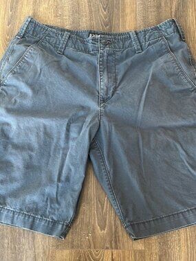 Express Blue Chino Shorts​​​ (Size 30)​​​​​​​​​​​​​